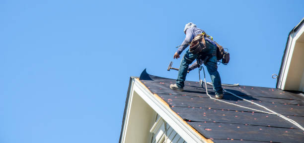 Best Affordable Roof Replacement  in USA